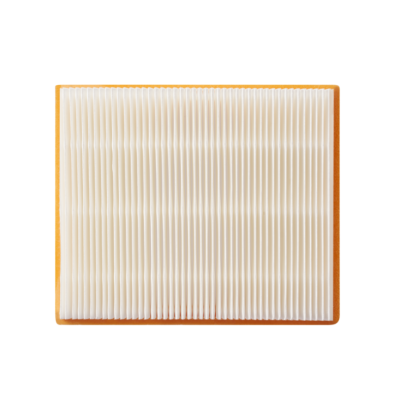 Filtre EGO AVF0900 pour aspirateur eau et poussière WDV0900E