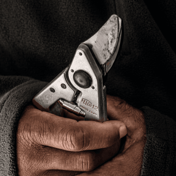 FELCO 12 Sécateur