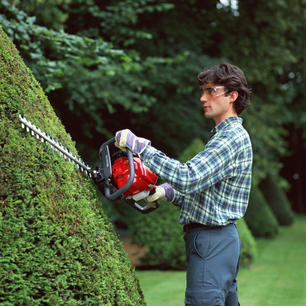 Honda HHH 25D 60 Taille-haies thermique