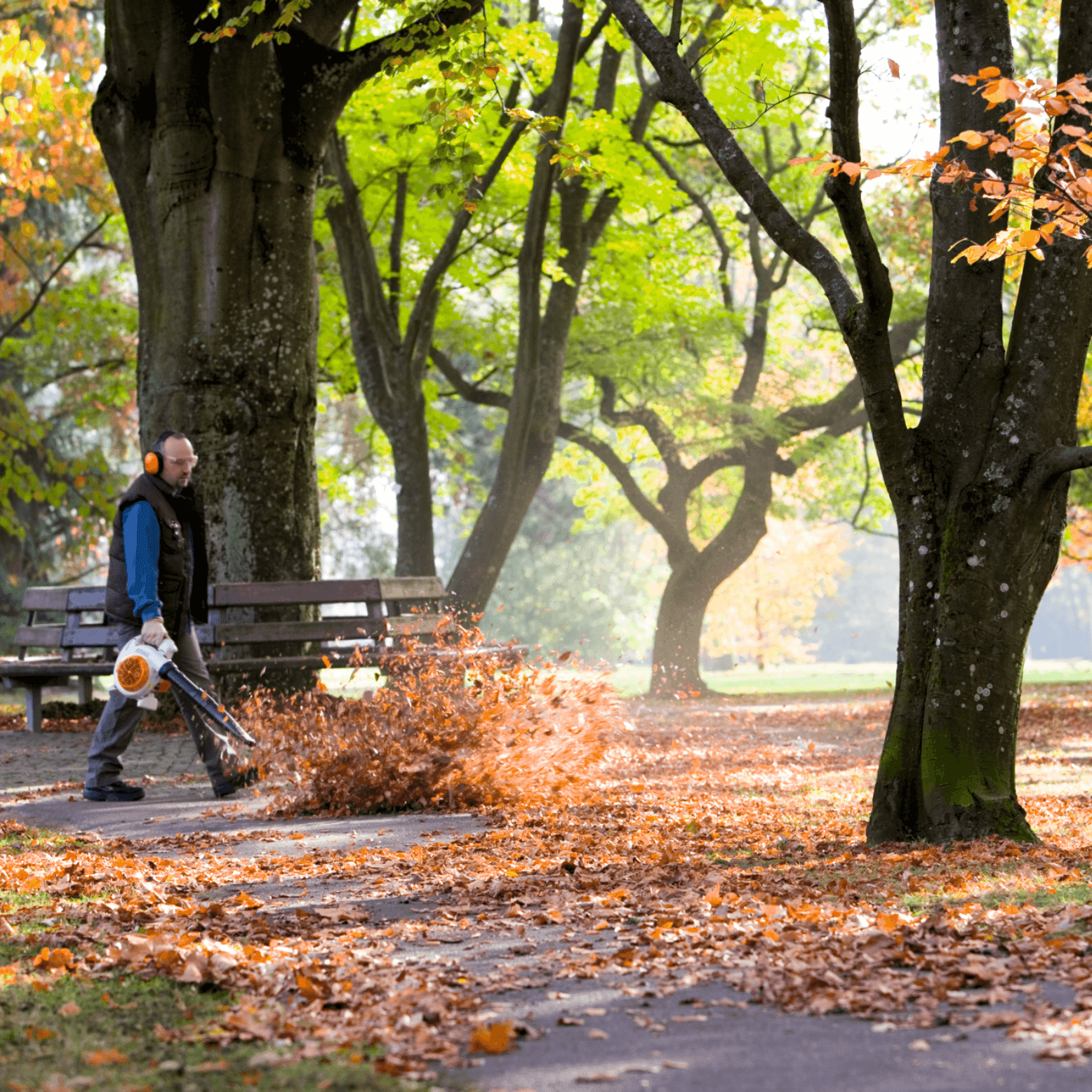 STIHL BG 86 Souffleur thermique