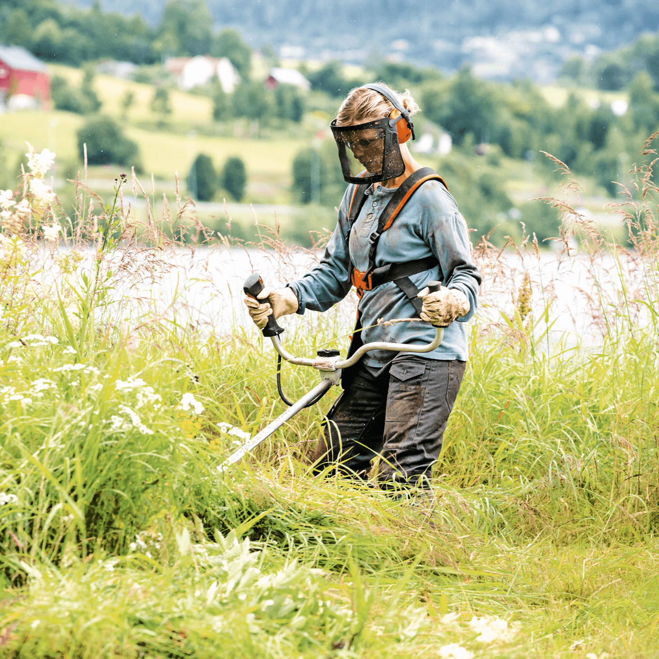 STIHL FS 240 C-E Débroussailleuse thermique - AutoCut 36-2