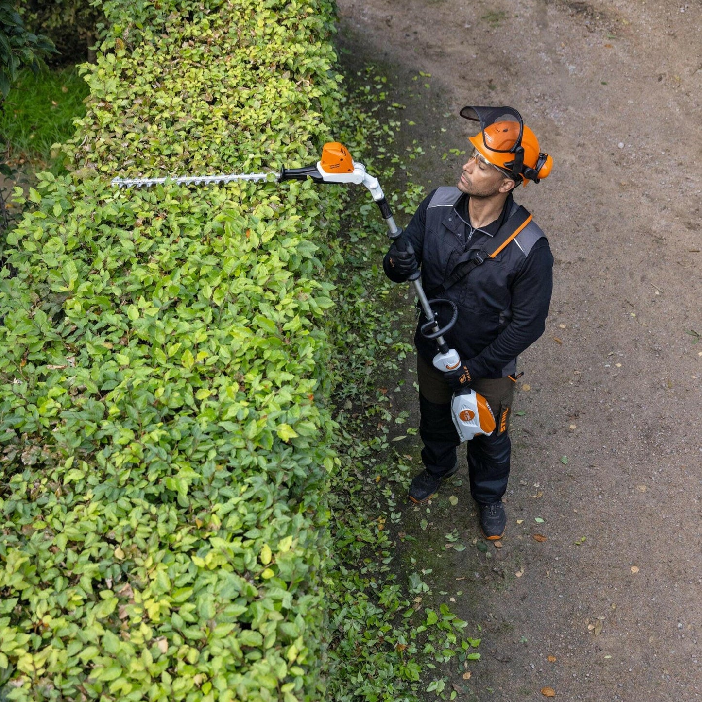 STIHL HLA 66 Taille-haie sur perche à batterie - Outil nu