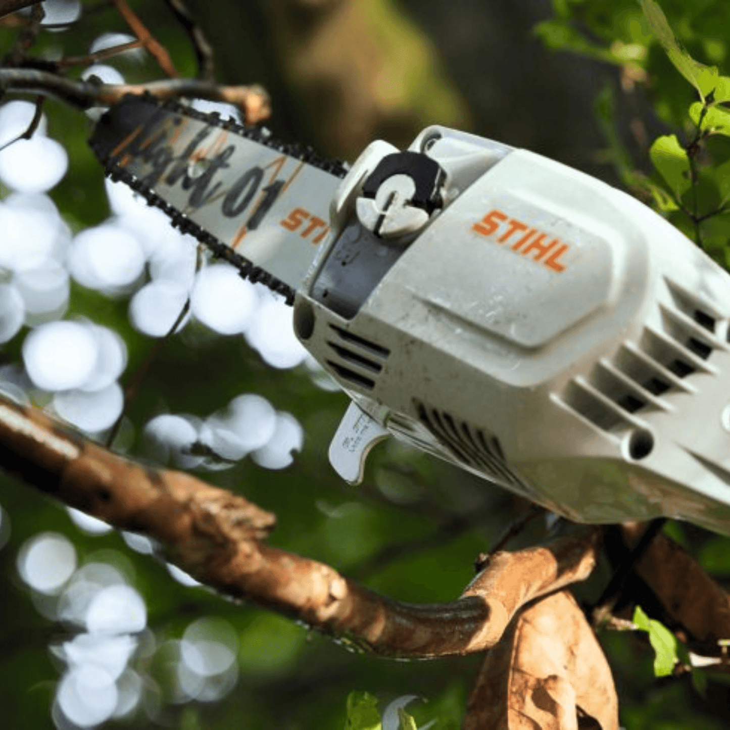 STIHL HTA 86 Perche élagueuse à batterie - Corps - 30 cm