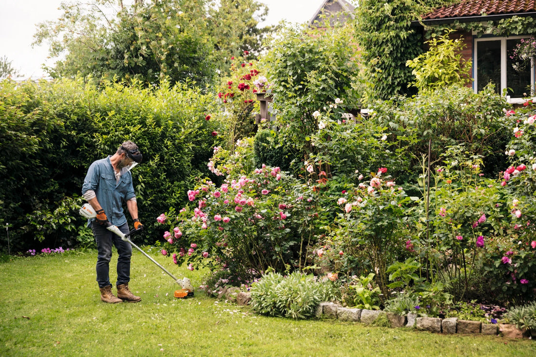 Tendances du jardin en 2026: ce que l’on voit de plus en plus chez les bricoleurs