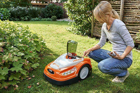 Tondeuses robots et hérissons : attention aux risques cachés