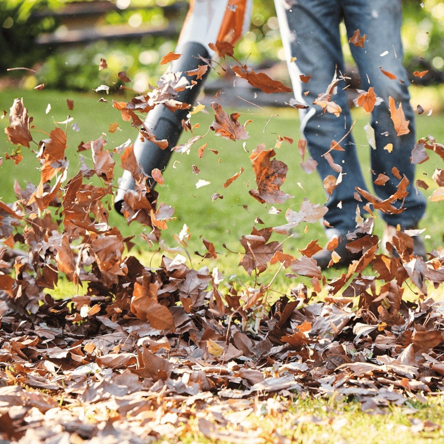 Souffleurs de feuilles