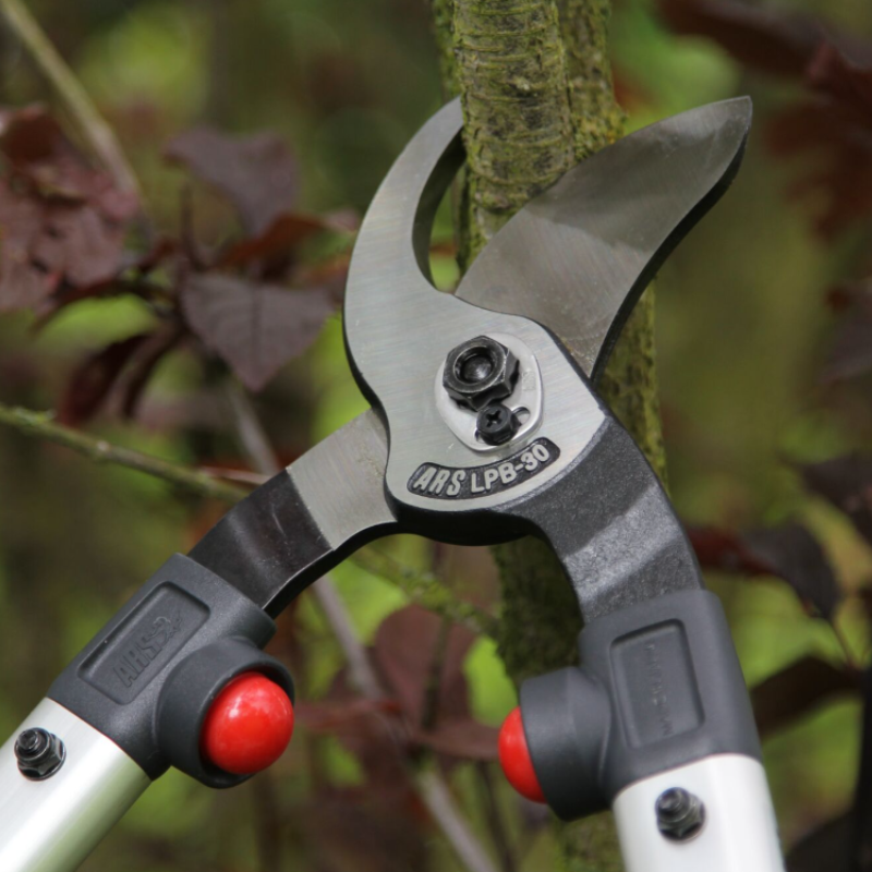 ARS LPB-30M Coupe-branches