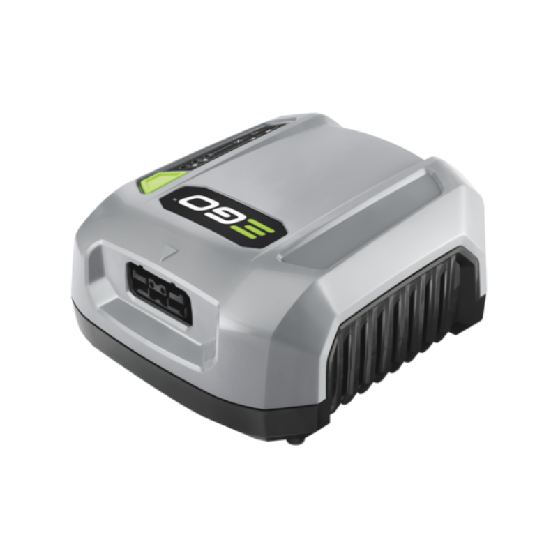 Chargeur EGO CHX5500E Pro X