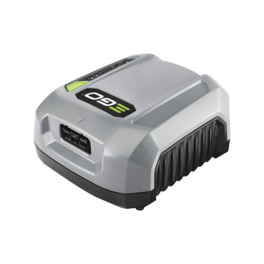 Chargeur EGO CHX5500E Pro X