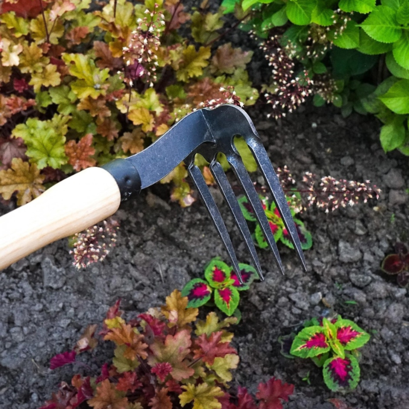 De Wit griffe à main 4 dents - manche 48 cm