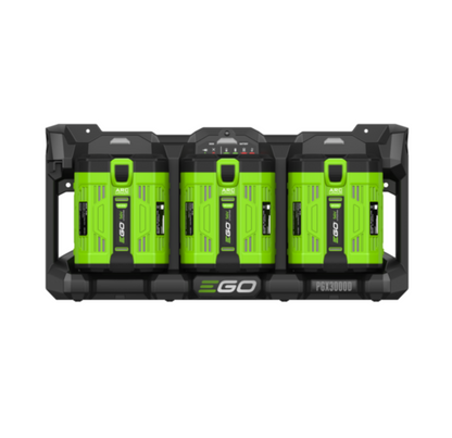EGO PGX3000D Dock 3 ports