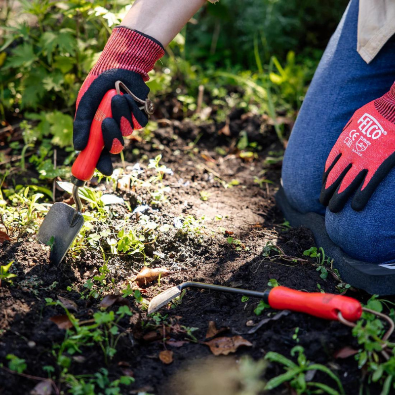 FELCO 401 Transplantoir