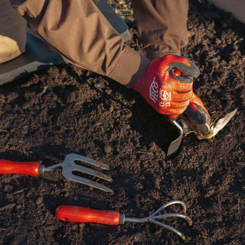 FELCO 401 Transplantoir