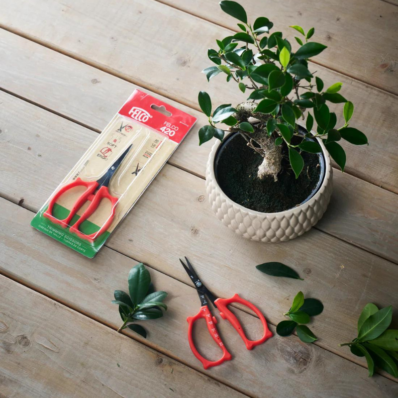 FELCO 420 Ciseaux de récolte