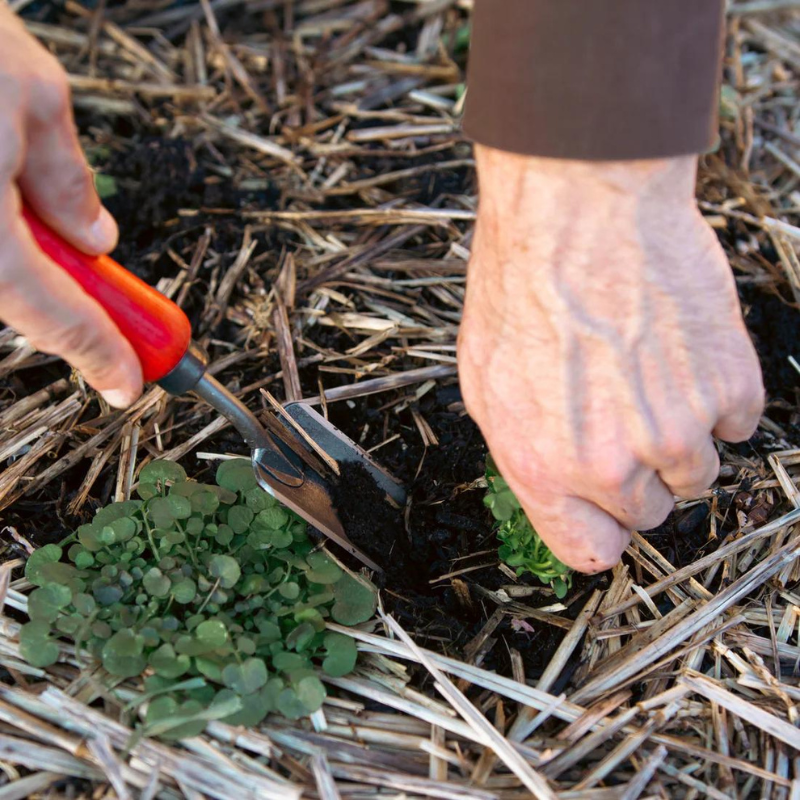 FELCO 441 Couteau de jardin Hori Hori suisse