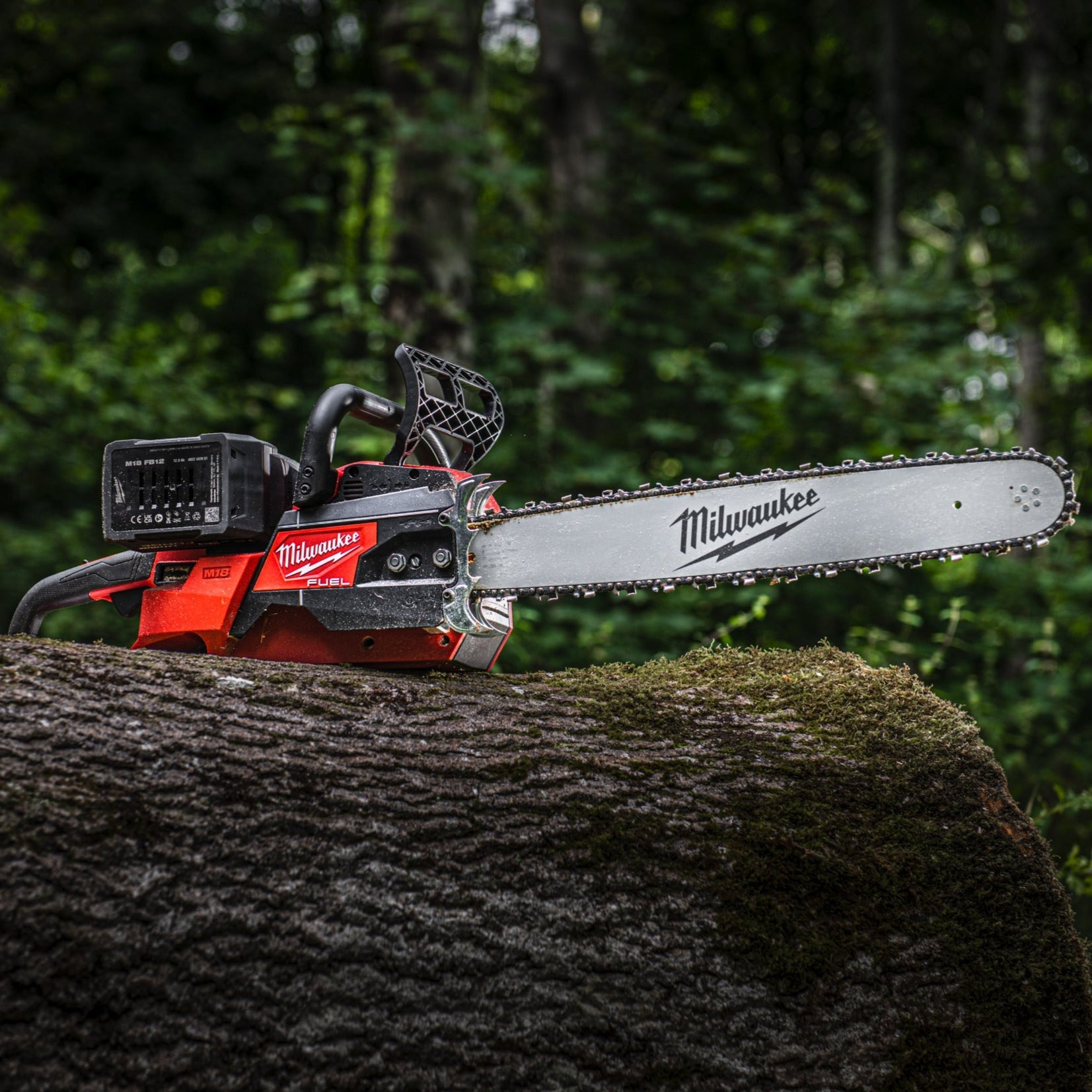 Milwaukee F2CHS50-802 M18 FUEL Tronçonneuse à batterie - Batteries et chargeur inclus - 50 cm