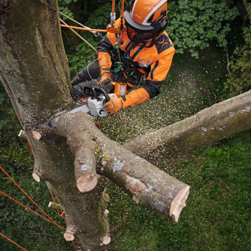 STIHL MSA 220 TC-O Tronçonneuse à batterie - Version nue - 1,1 mm - 30 cm