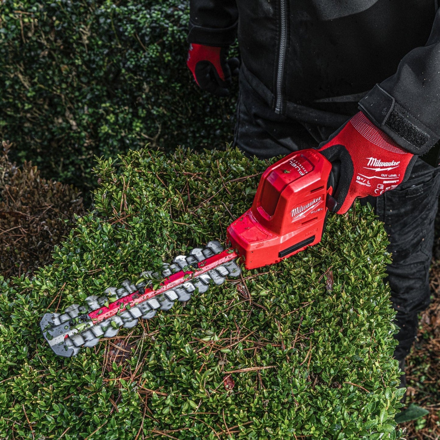 Milwaukee M12 FHT20-0 Taille-haies sur batterie - 20 cm