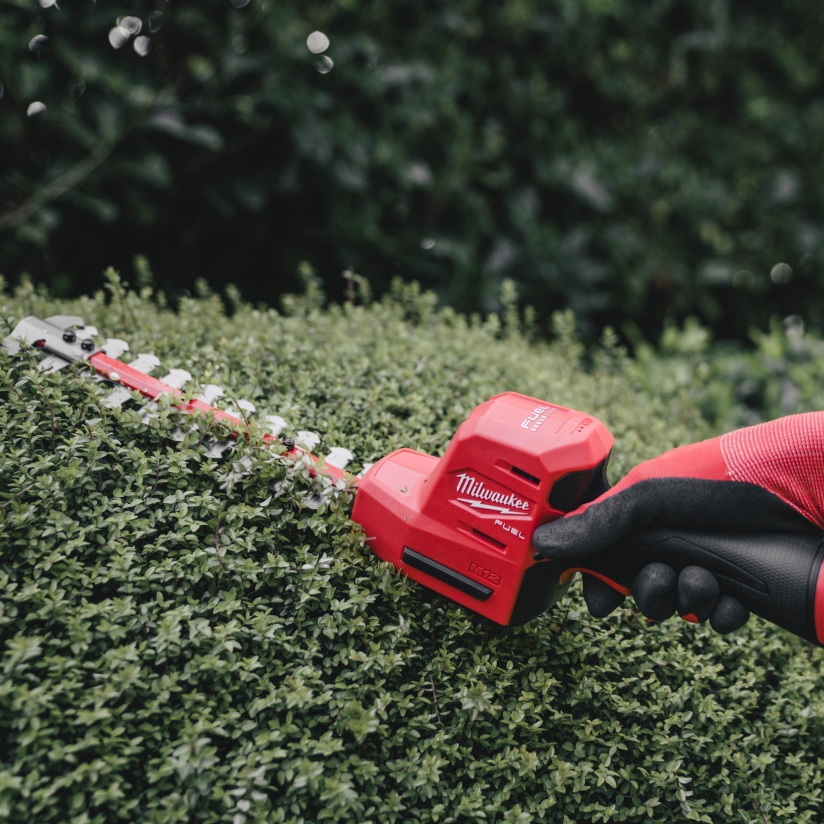 Milwaukee M12 FHT20-0 Taille-haies sur batterie - 20 cm