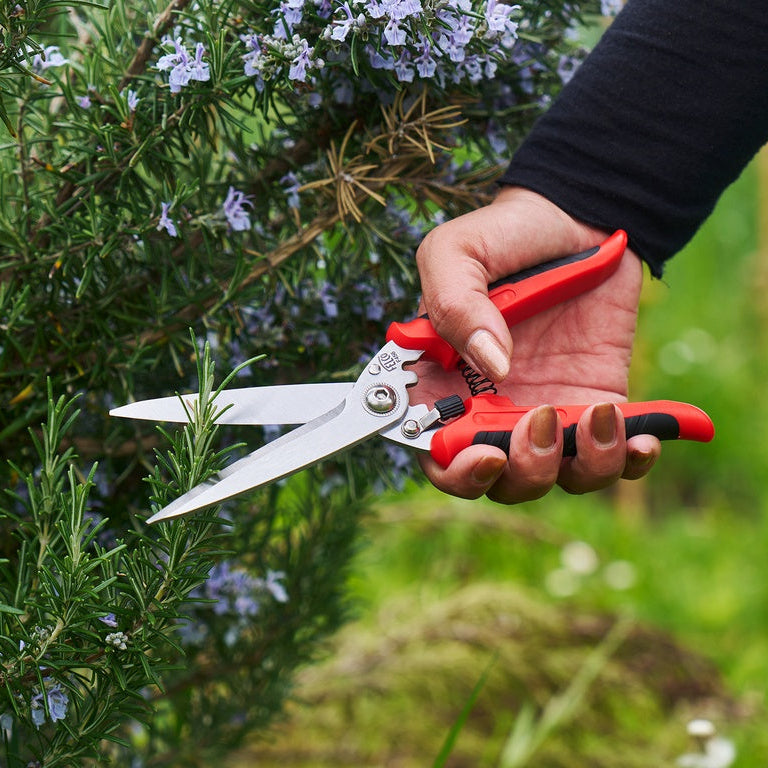 Felco 456 Ciseaux multifonctions