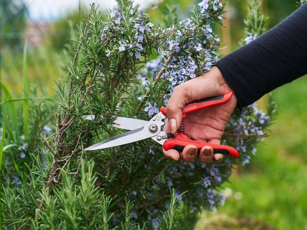Felco 456 Ciseaux multifonctions
