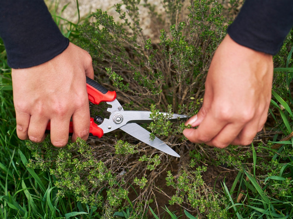 Felco 456 Ciseaux multifonctions