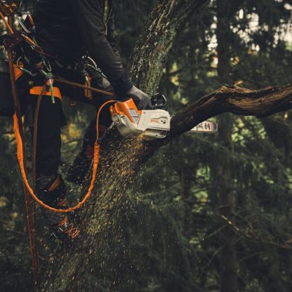 STIHL AP Adaptateur de longe 2-en-1 pour tronçonneuse