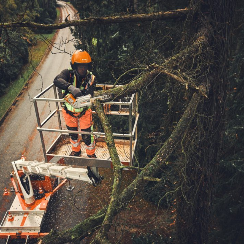 STIHL MSA 190 T Tronçonneuse d’élagage à batterie - Corps seul 30 cm