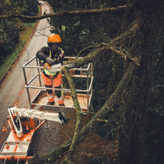 STIHL MSA 190 T Tronçonneuse à batterie - Outil nu - 35 cm