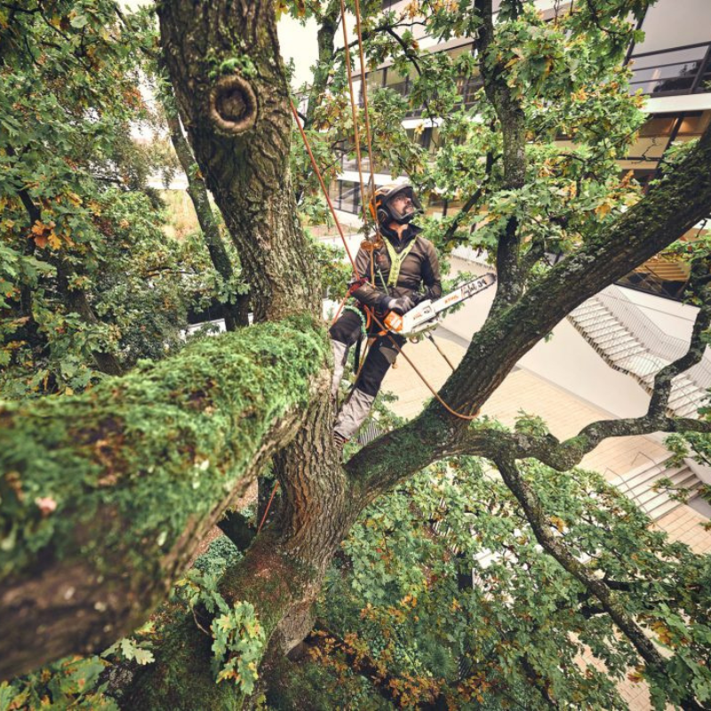 STIHL MSA 220.1 T Tronçonneuse d’élagage à batterie - Machine nue - 35 cm