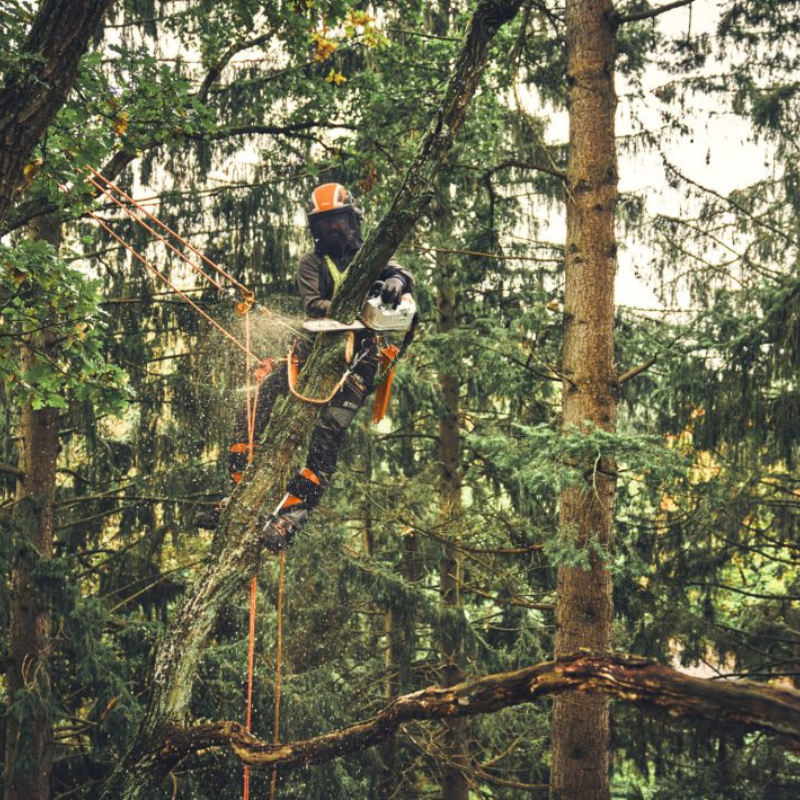 STIHL MSA 220.1 T Tronçonneuse d’élagage à batterie - Corps - 30 cm