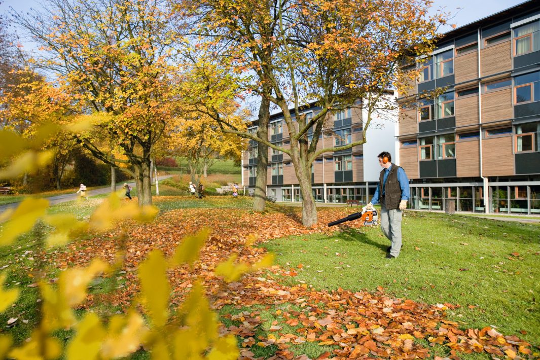 STIHL BG 66 C-E D Souffleur thermique