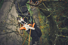 STIHL GTA 40.0 mini tronçonneuse à batterie avec batterie & chargeur - 15 cm