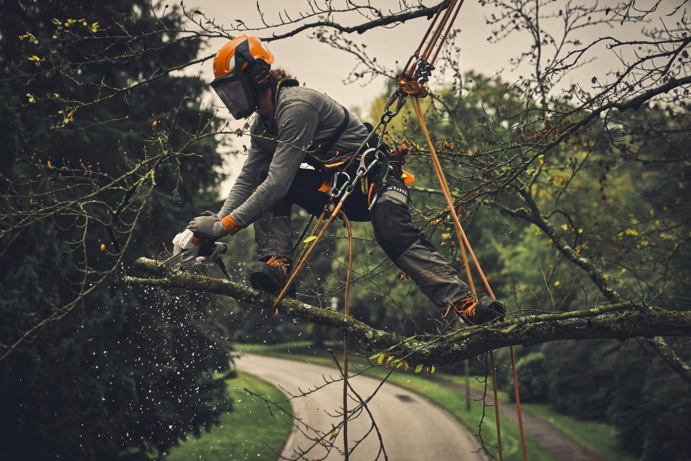 STIHL GTA 40.0 mini tronçonneuse à batterie avec batterie & chargeur - 15 cm