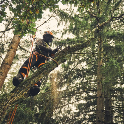 STIHL MSA 220.1 TC-O Tronçonneuse à batterie - Corps - 30 cm