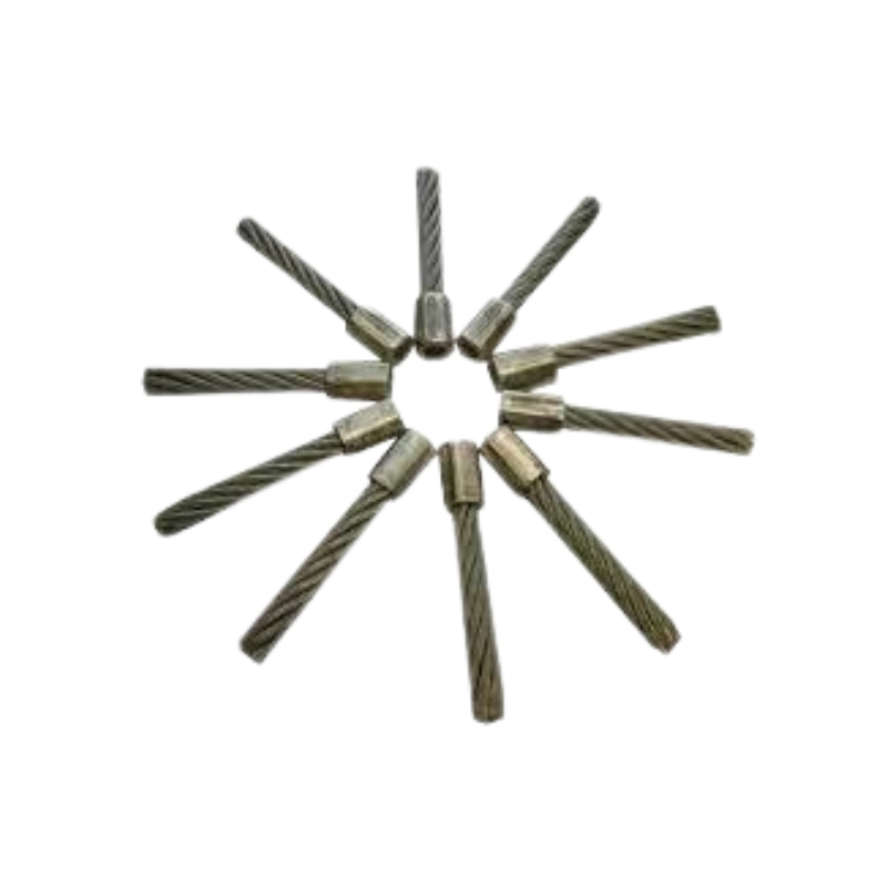 Tielbürger TW50 Désherbeuse à brosse thermique - Honda GCV 170