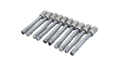 AgroTech Brosses de désherbage pour Tielbürger - Lot de 10