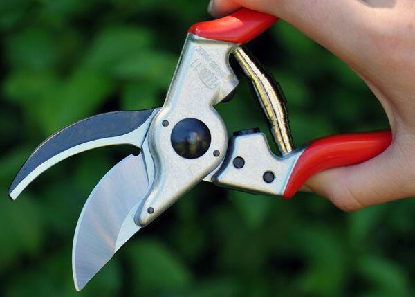 Sécateur FELCO 11