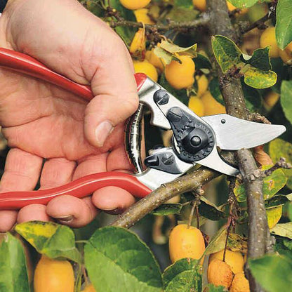 FELCO 16 Sécateur pour gauchers
