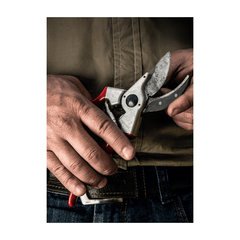 FELCO 2 Sécateur avec lame de rechange offerte