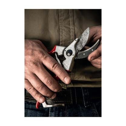 FELCO 2 Sécateur avec lame de rechange offerte