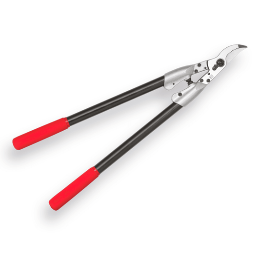 Felco 210C-60 Coupe-branches