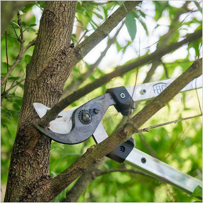 FELCO 211-50 Coupe-branches