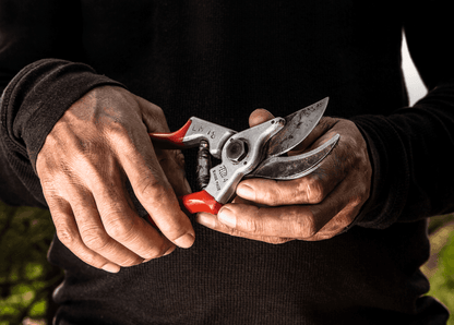Sécateur Felco 4