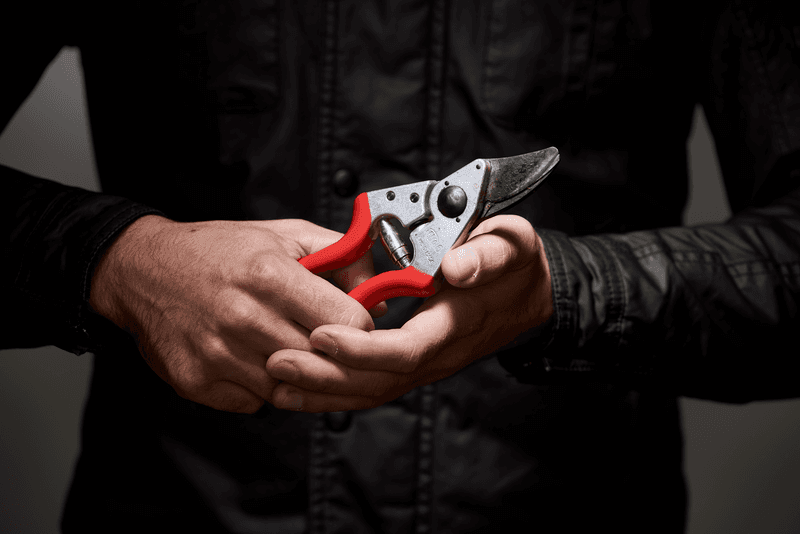 Sécateur FELCO 6