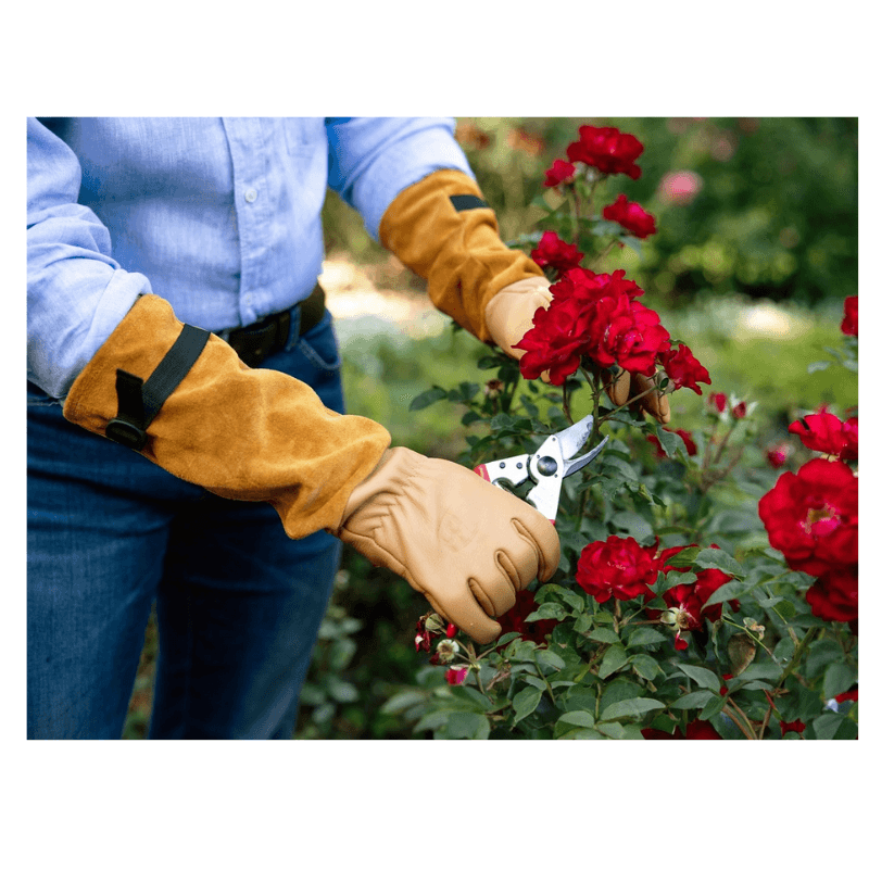 Gants pour rosiers Felco 705 - XL