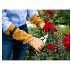 Gants pour rosiers Felco 705 - XL