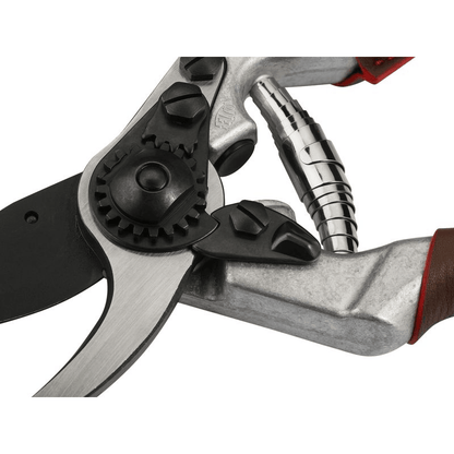 FELCO 8 Elite Sécateur