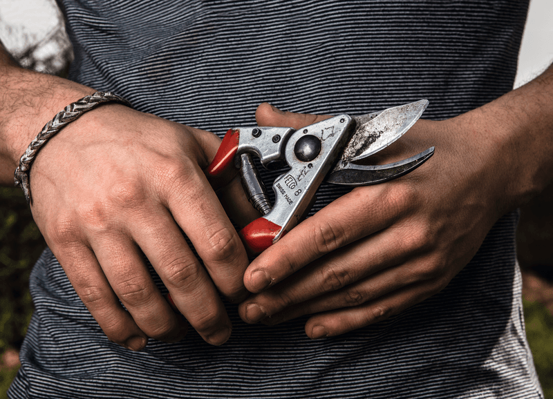 Sécateur Felco 8