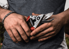 Sécateur Felco 8